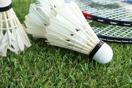 陈梦指导年 陈梦指导年